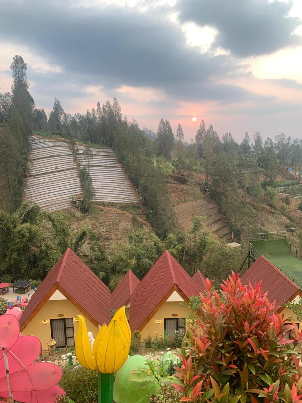 Hotel Nature Bromo And Resort Pasuruan Esterno foto