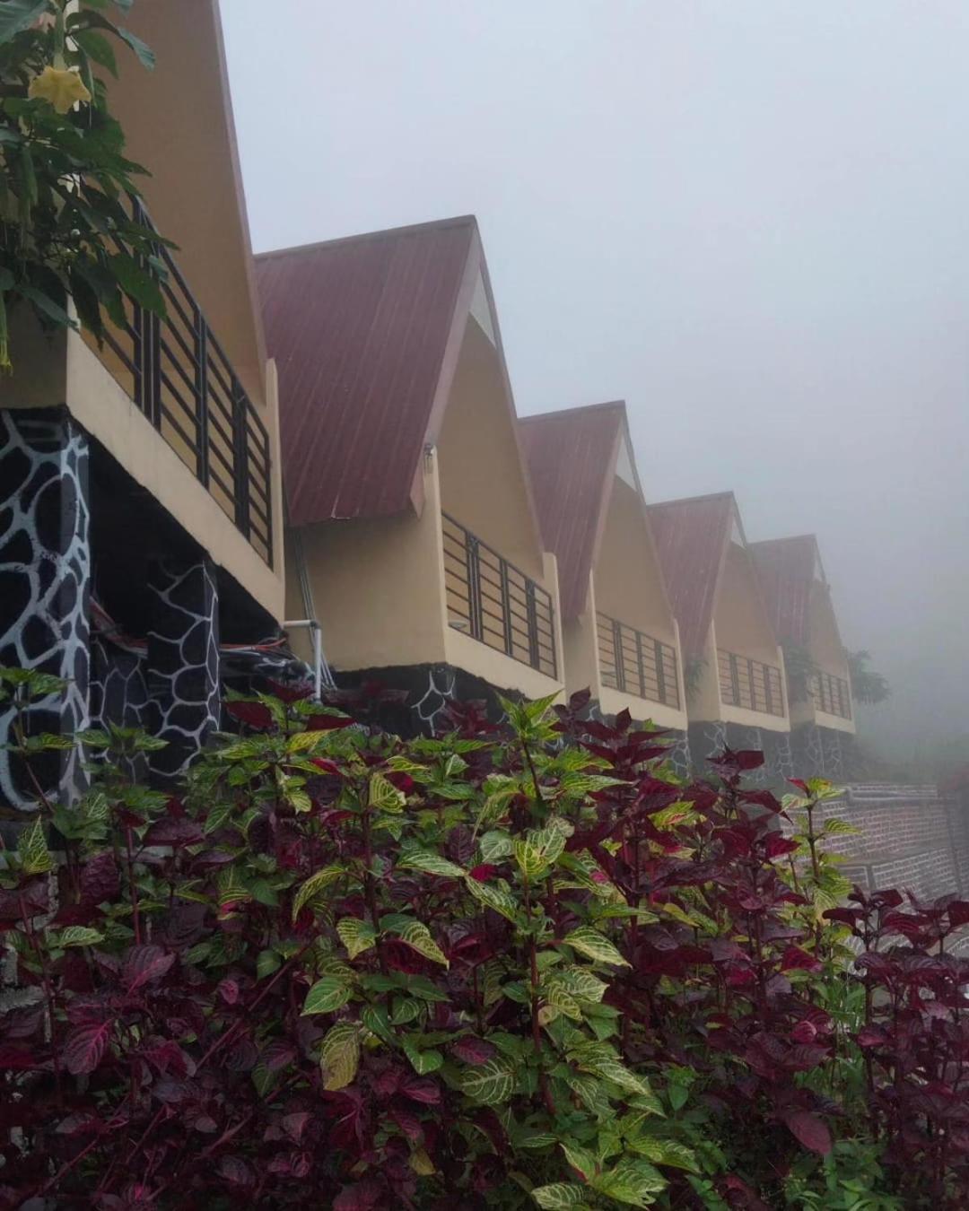 Hotel Nature Bromo And Resort Pasuruan Esterno foto